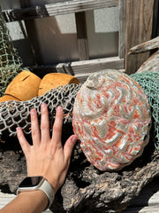 Polished Red Abalone 8.25
