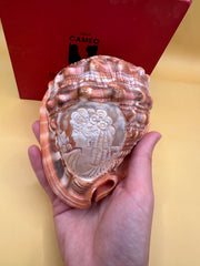Carved Cameo Helmet Shell Display – M+M Scognamiglio Hand-Carved Specimen (5.2