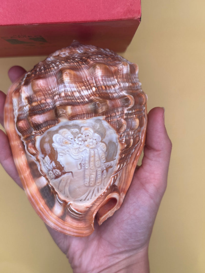Carved Cameo Helmet Shell Display – M+M Scognamiglio Hand-Carved Specimen (5.2")