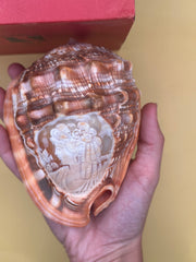 Carved Cameo Helmet Shell Display – M+M Scognamiglio Hand-Carved Specimen (5.2
