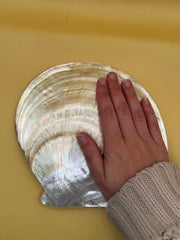 XL Polished Gold Mother of Pearl Shell (8.25