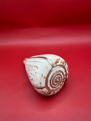 Lettered Cone Display Shell with Silver-Plated Accents – Coastal Decor, 4.25