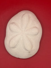 Sea Biscuit, Exact Sea Biscuit Shown, 4.2