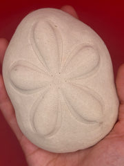 Sea Biscuit, Exact Sea Biscuit Shown, 4.2