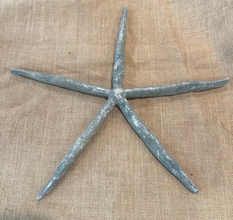 Pale Gray Giant Linkia Starfish 18"