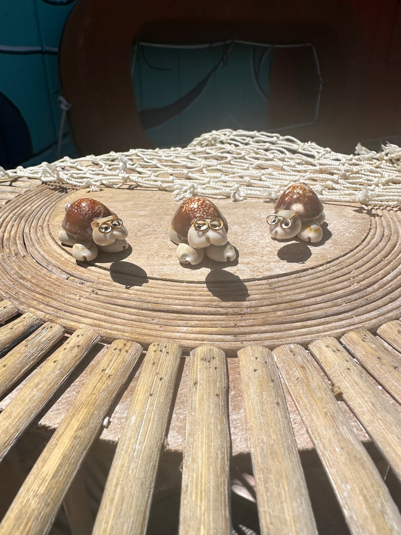 Shell Critters Sea Turtle Seashell Critters | Loving Coastal Living