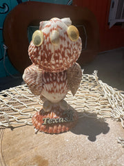 Vintage Texas Seashell Owl