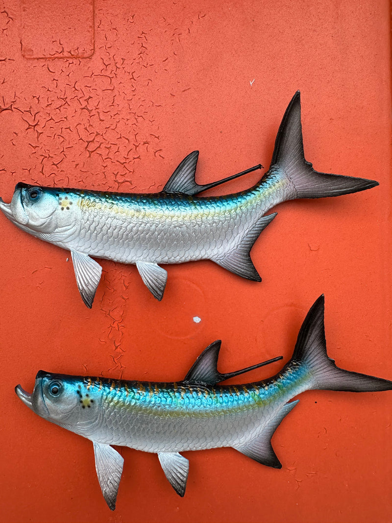 Tarpon Fish Magnet