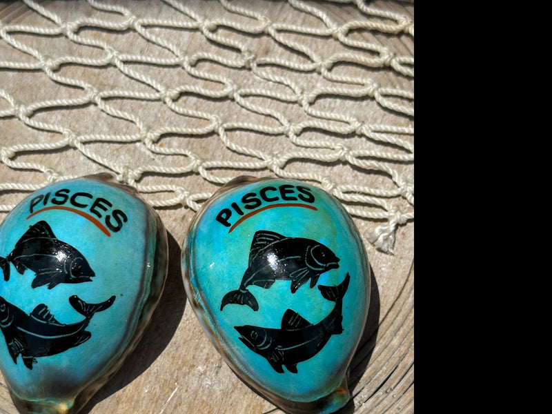 Painted Zodiac Sign Cowrie Shell