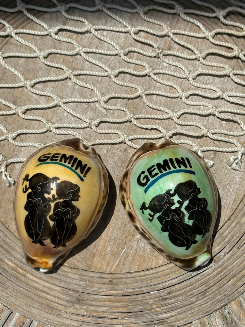 Painted Zodiac Sign Cowrie Shell