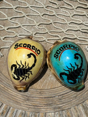 Painted Zodiac Sign Cowrie Shell