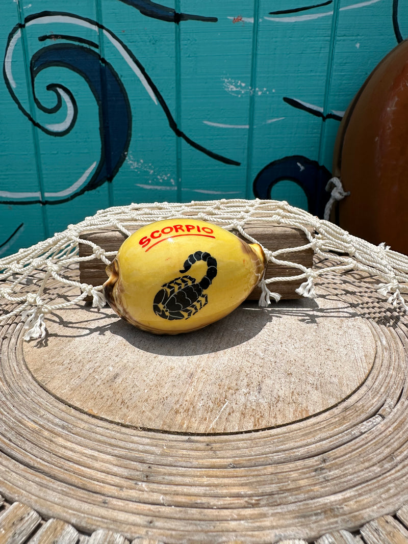 Painted Zodiac Sign Cowrie Shell