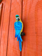 Wall Hanging Parrot
