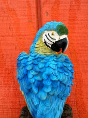 Wall Hanging Parrot
