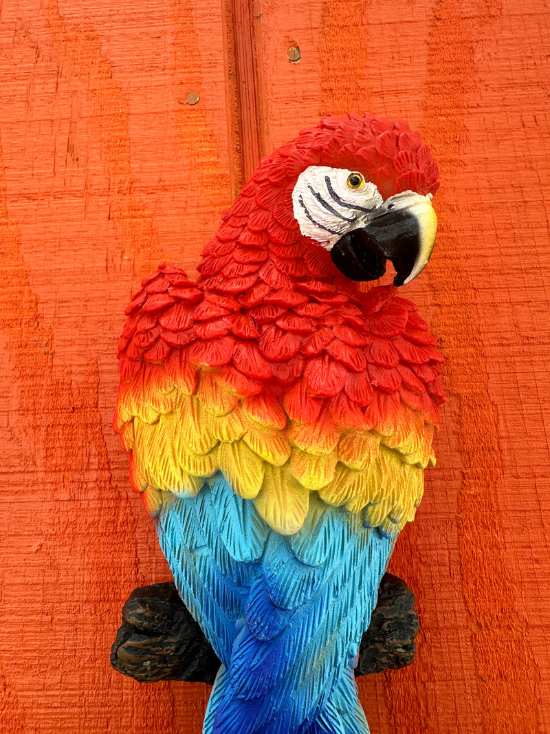 Wall Hanging Parrot