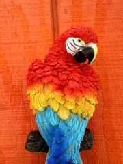 Wall Hanging Parrot