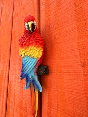 Wall Hanging Parrot
