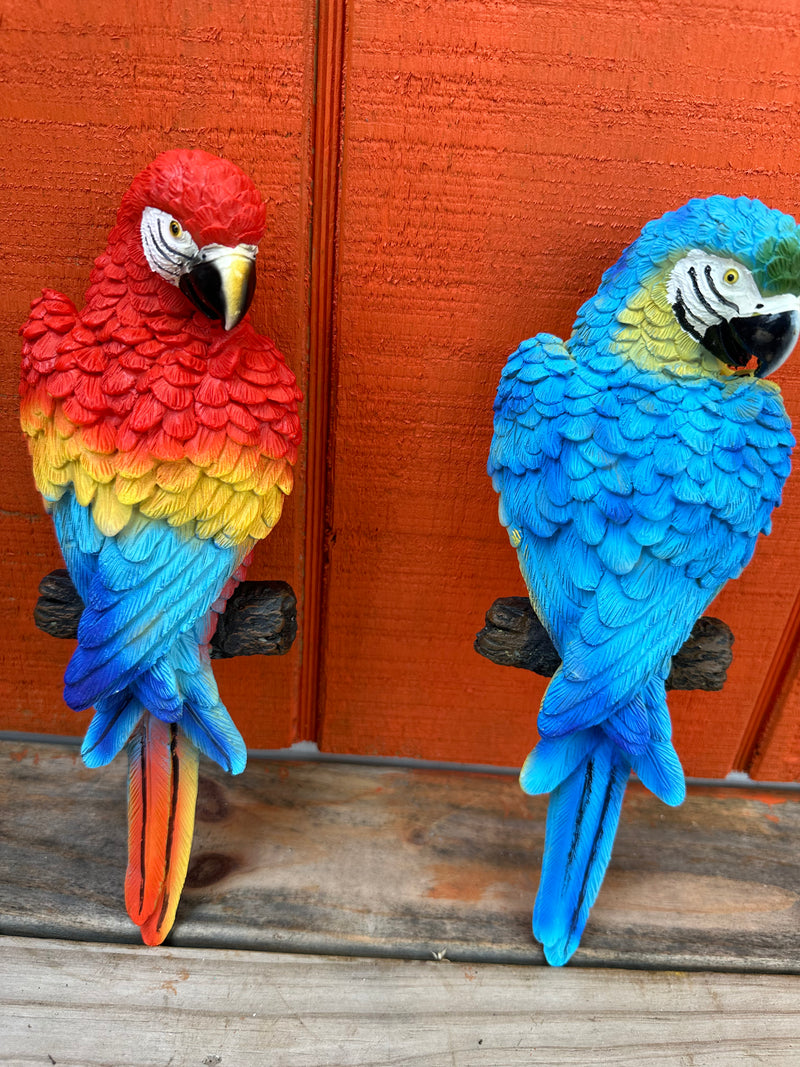 Wall Hanging Parrot