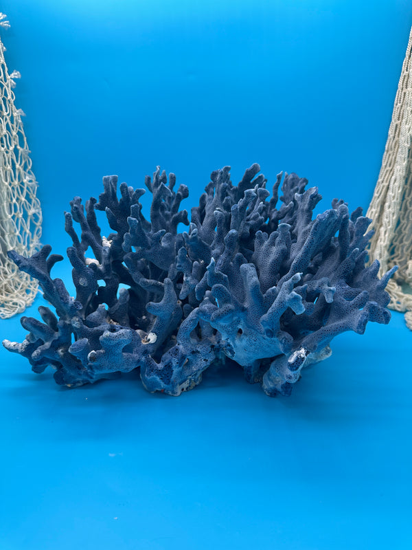 Vintage Blue Ridge Coral – Heliopora coerulea – 15" x 14" x 9"