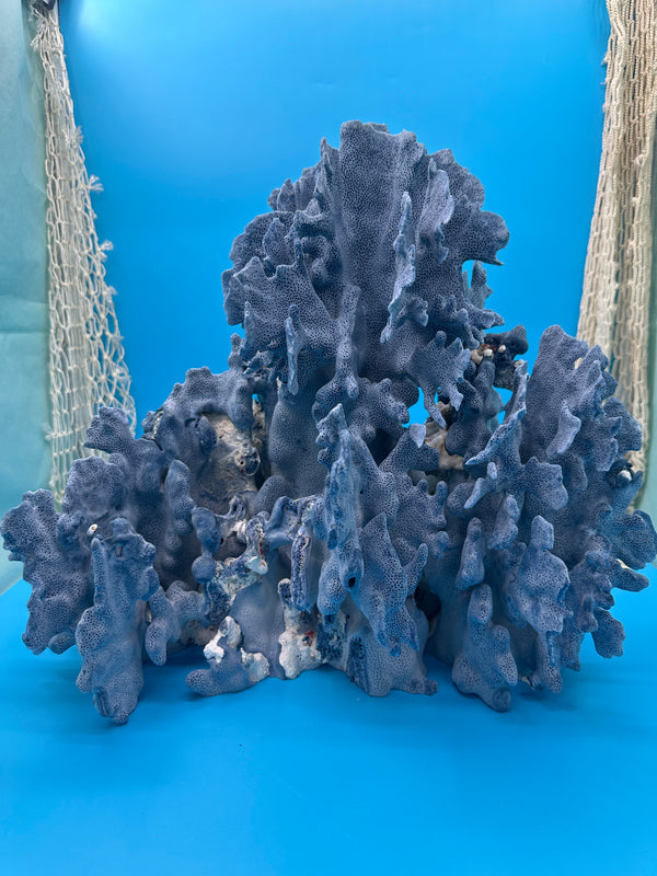 Vintage Blue Ridge Coral – Heliopora coerulea – 15" x 15" x 11"