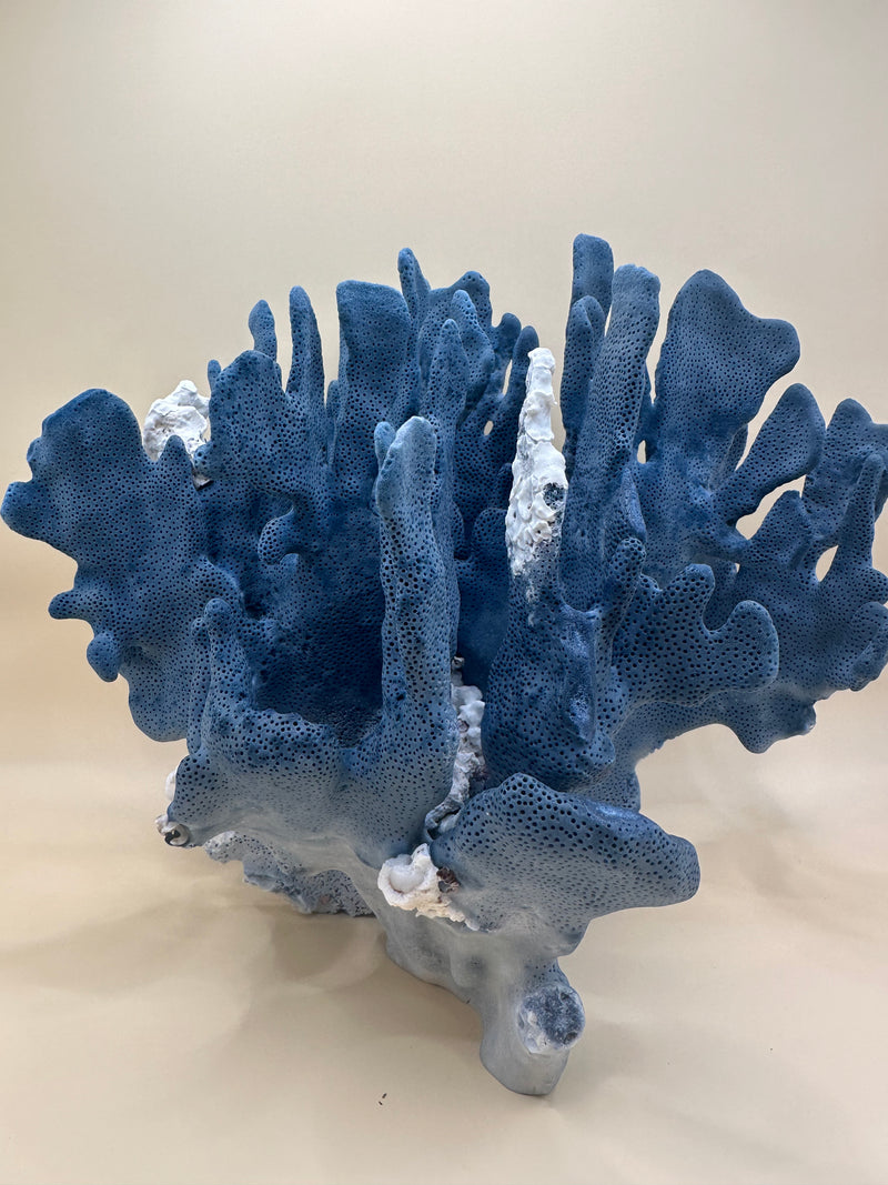 Vintage Blue Ridge Coral - 10"x7"x7"