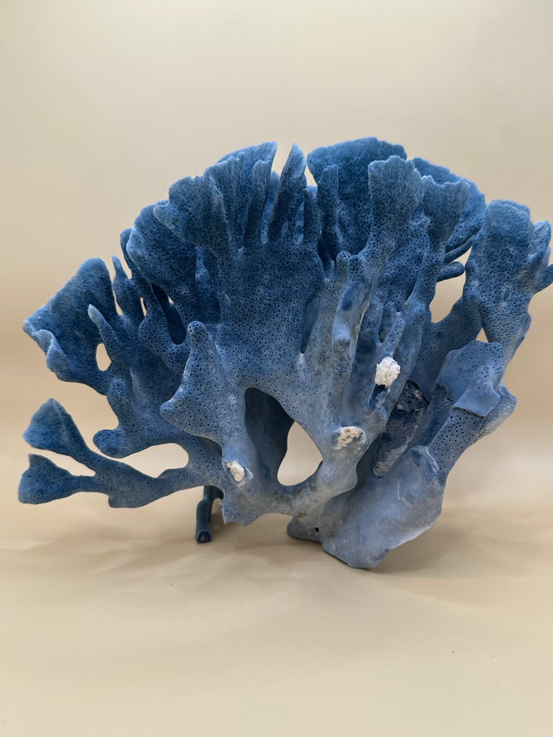 Vintage Blue Ridge Coral - 10"x5"x7"