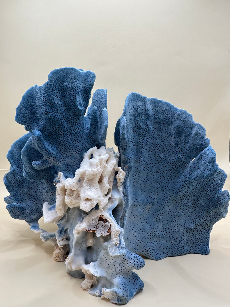 Vintage Blue Ridge Coral 8"x6.5"x7"