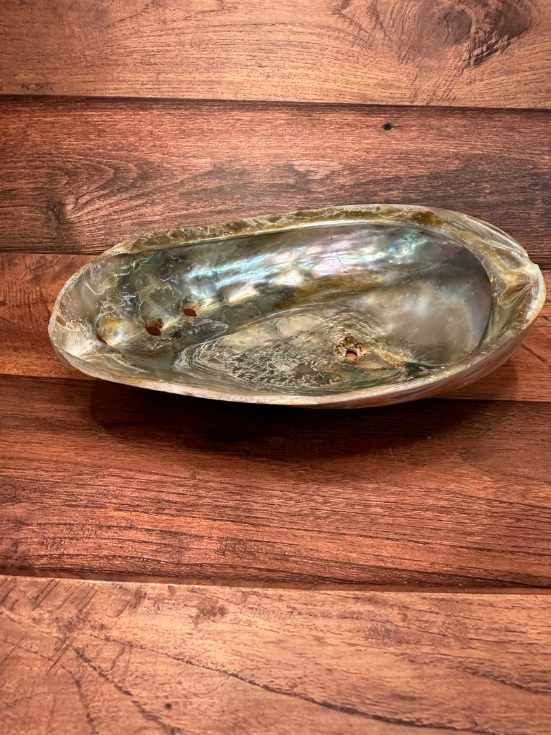 Polished Red Abalone 8"x6"x2"-Exact Shell