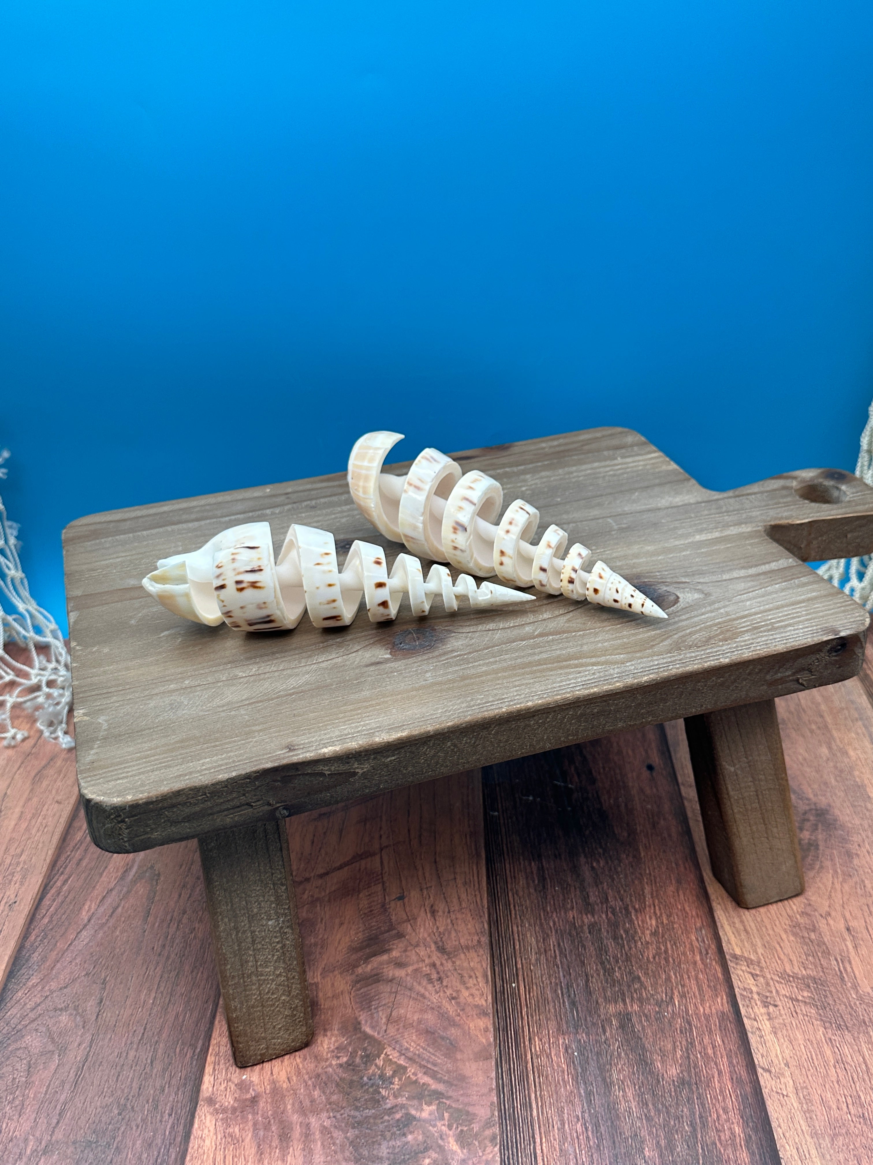 Spike Shell Designs Spiral Cut Marlin Spike Shell – Coastal Decor Display Shell – 5-7 ...