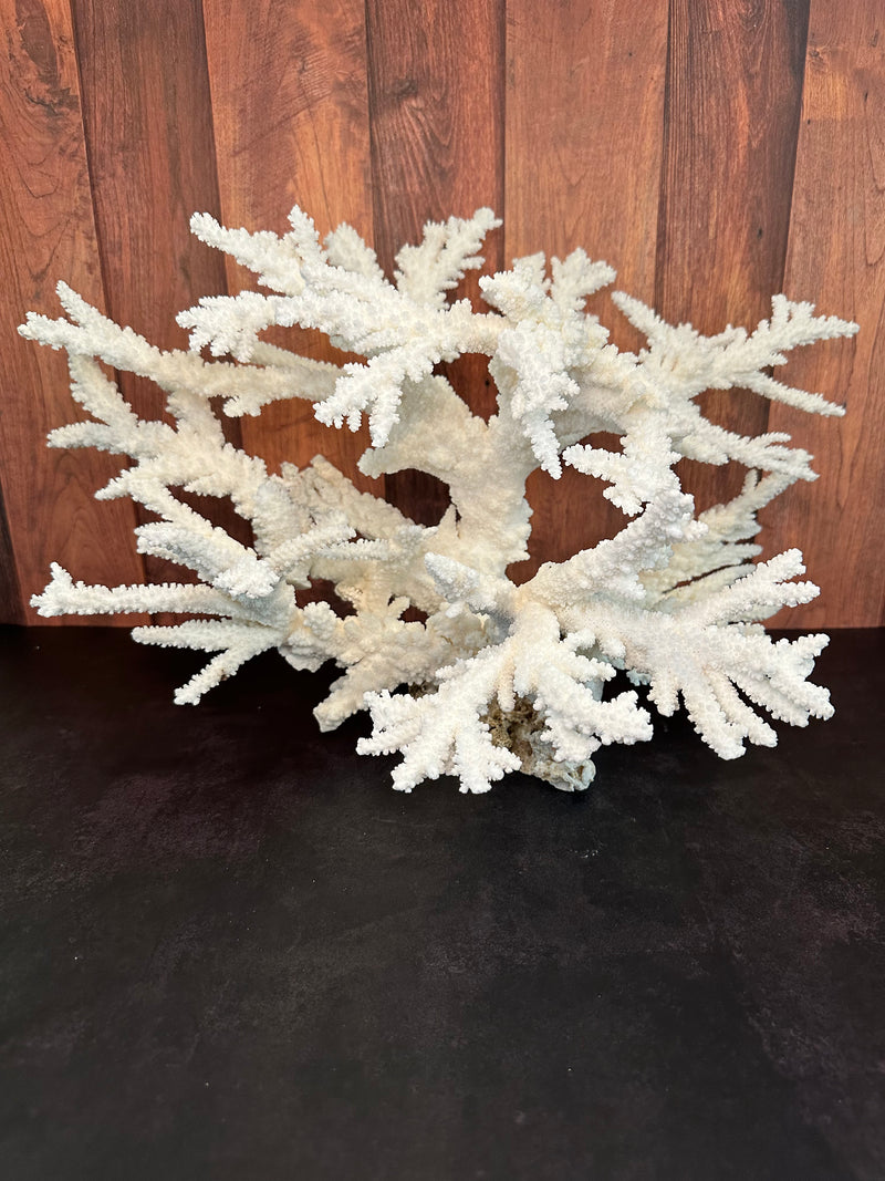 Vintage Branch Coral Creation- 20"