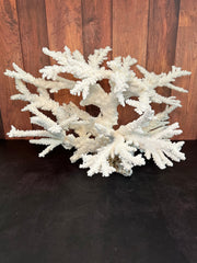 Vintage Branch Coral Creation- 20