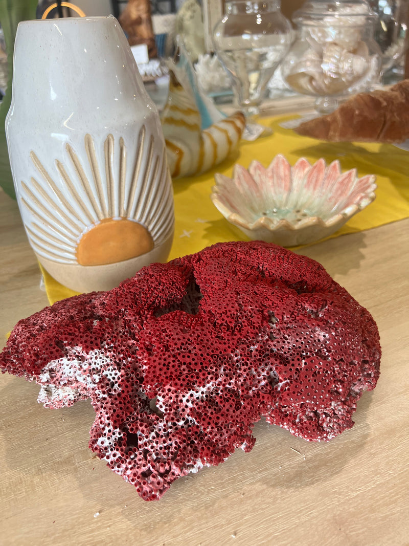 Vintage Red Pipe Coral- 10"