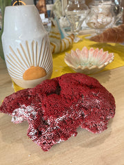 Vintage Red Pipe Coral- 10