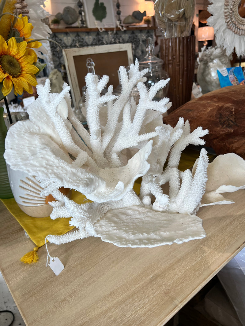 Vintage Staghorn & Cup Coral Sculpture- 17"