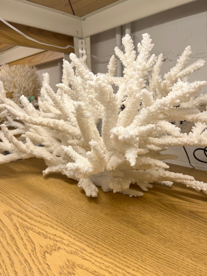 Vintage Branch Coral Creation- 28"