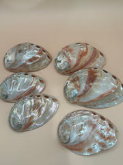 Polished Red Abalone 3