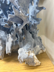 Vintage Blue Ridge Coral Sculpture- 22