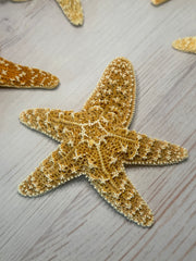 Mutant Freak Sugar Starfish