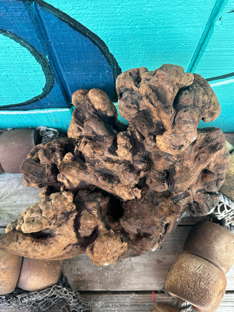 Manzanita Root Burl