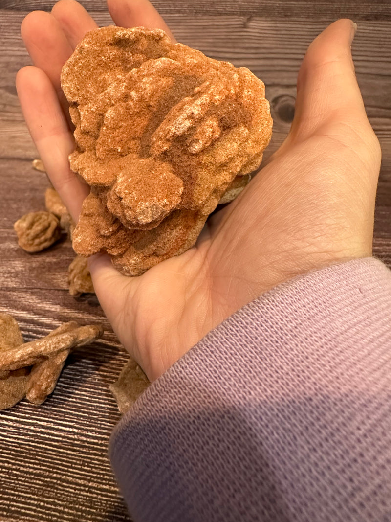 Desert Rose Selenite – Unique Mineral Specimen