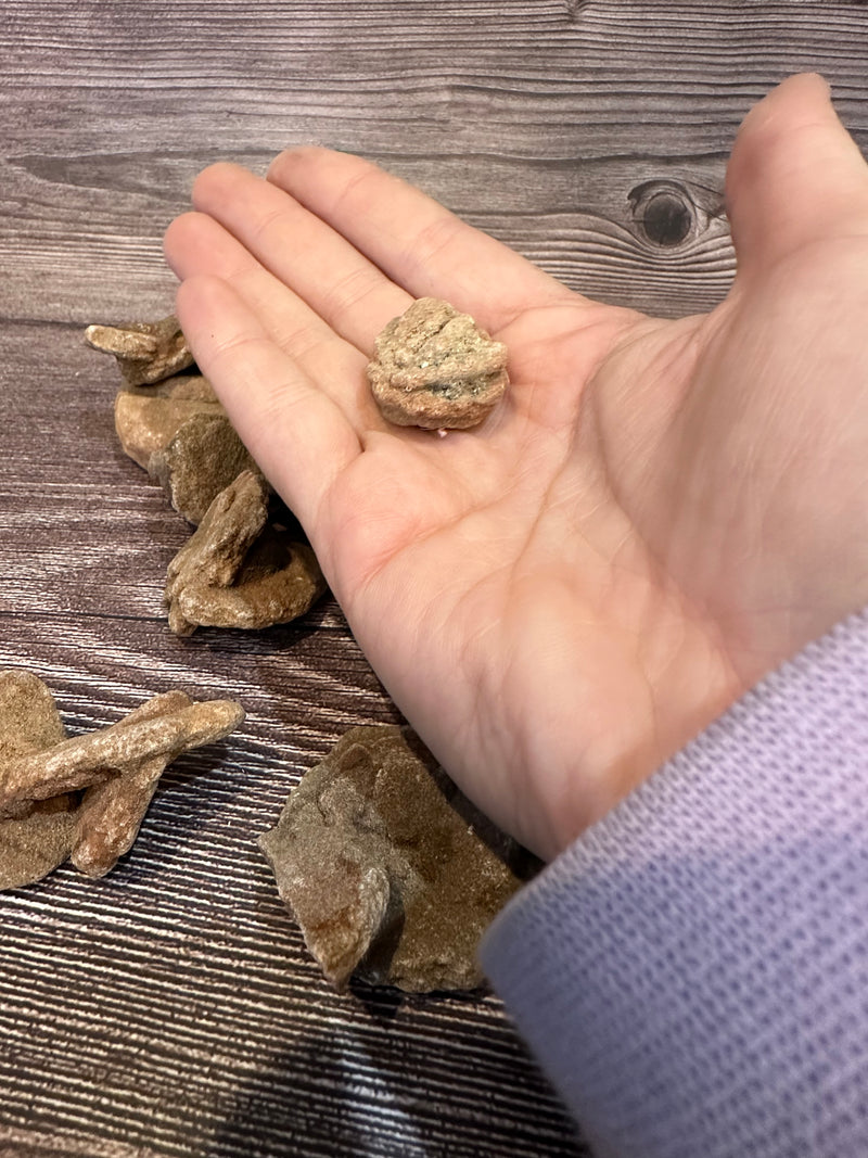 Desert Rose Selenite – Unique Mineral Specimen