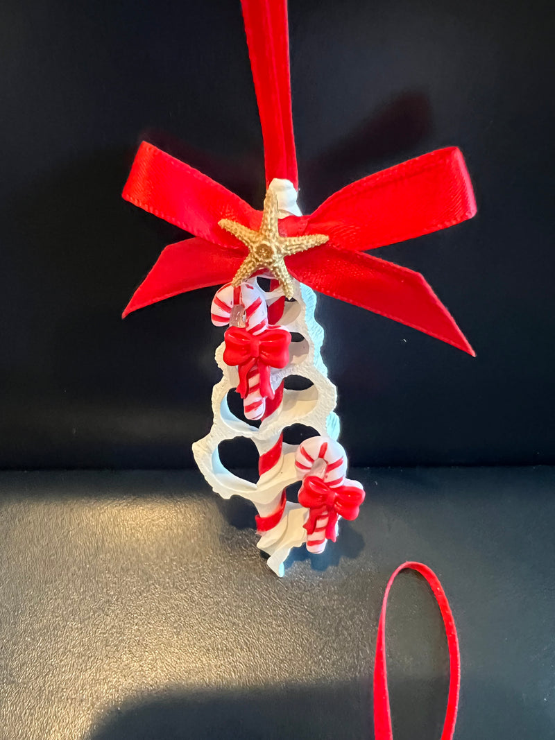 Sliced Shell Ornament With Candy Cane Charms