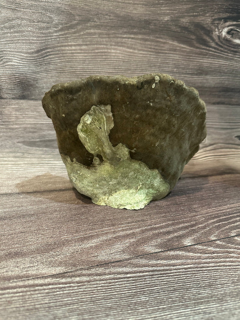 Cup Coral (Natural) 8”x6”x3”