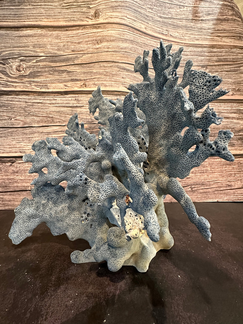 Blue Ridge Coral 11x8x11"