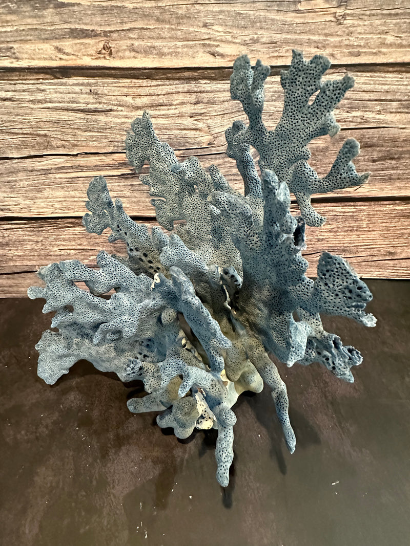 Blue Ridge Coral 11x8x11"