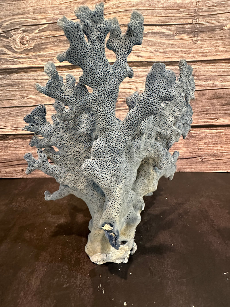 Blue Ridge Coral 11x8x11"