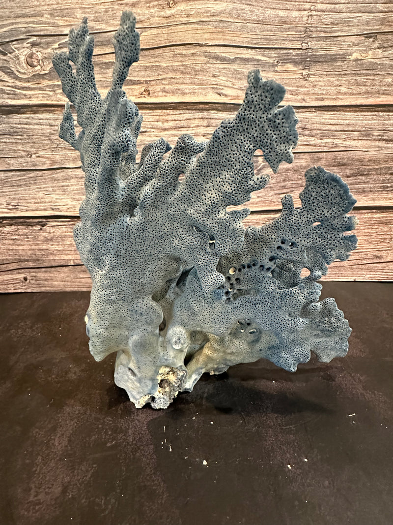 Blue Ridge Coral 11x8x11"