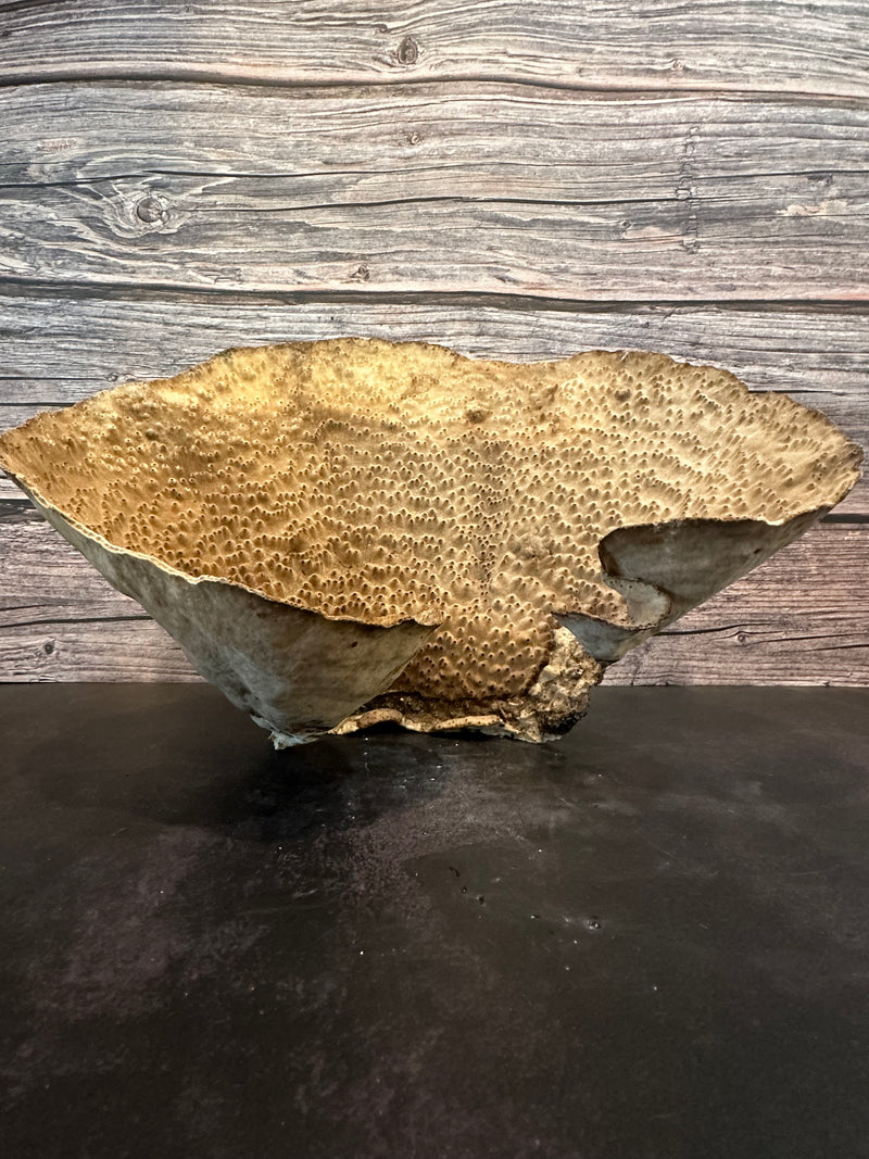 Cup Coral (Natural) 14x9x8.5"