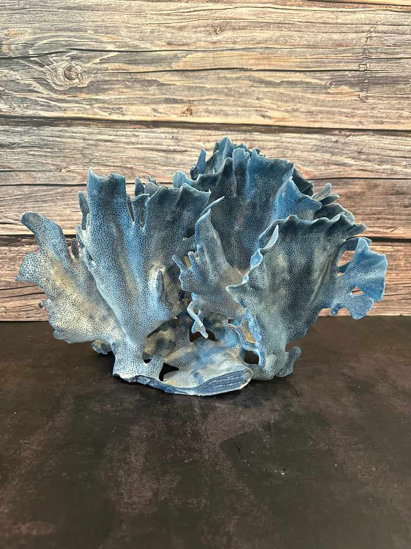 Blue Ridge Coral 15x10x10"