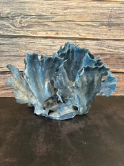 Blue Ridge Coral 15x10x10